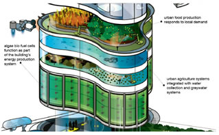 Sustainability Structures